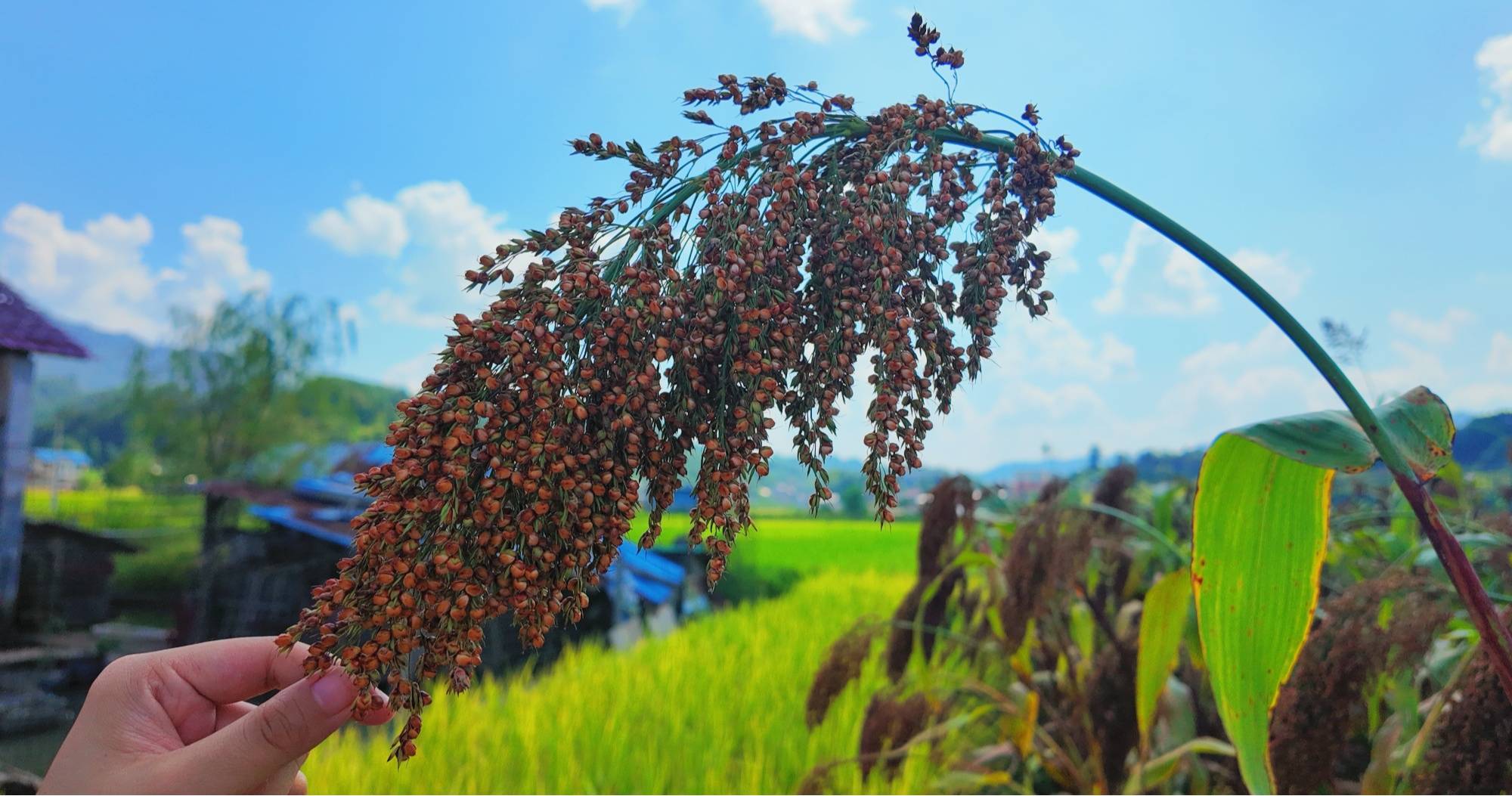 大众娱乐登录-可编程控制器PLC实训装置,PLC变频器控制技术教学设备